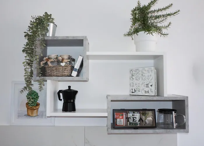 De Camillis In St Peter